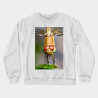 Unique and organic photo of a Dragonfly Crewneck Sweatshirt